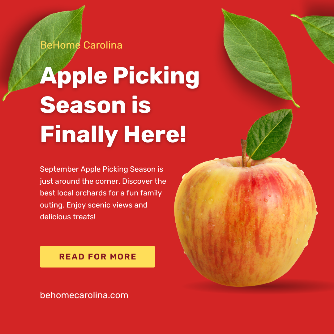 Apple Picking Season is Finally Here!