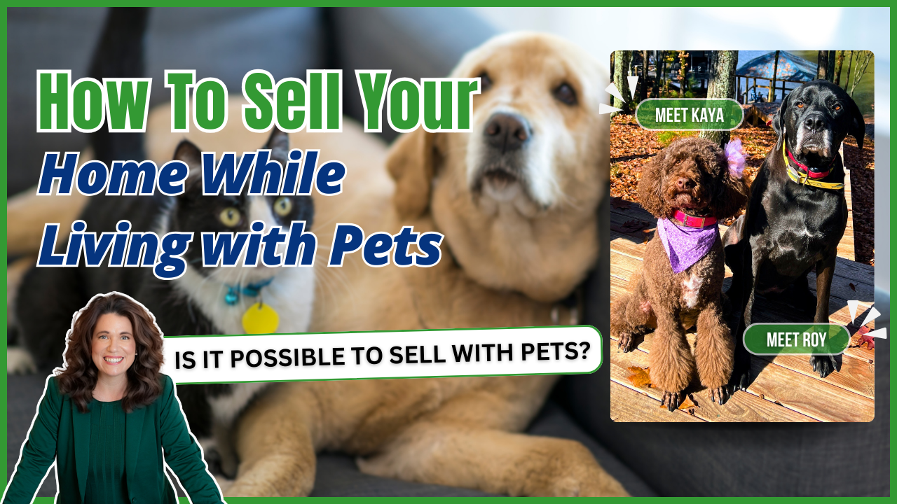 How To Sell Your Home While Living with Pets MEET ROY MEET KAYA Is It Possible to sell with pets?